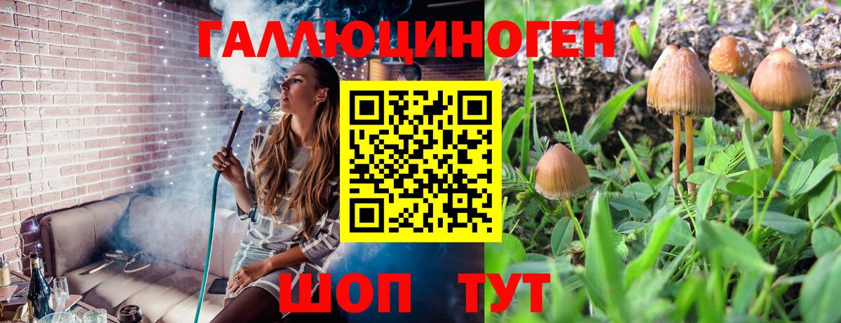 Первоуральск  Галлюциногенные грибы Psilocybine cubensis  Вход с VPN 